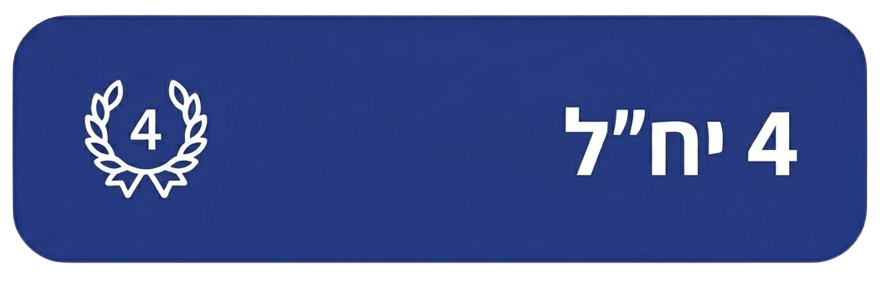 Uploaded image